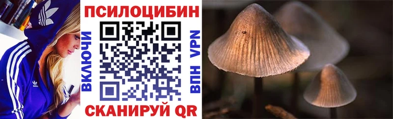 Псилоцибиновые грибы Psilocybine cubensis MEGA как зайти Ворсма